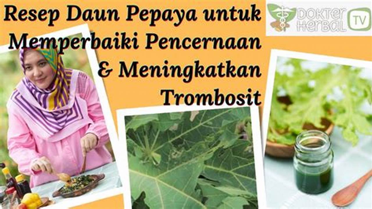 Meningkatkan Pencernaan, Resep5k