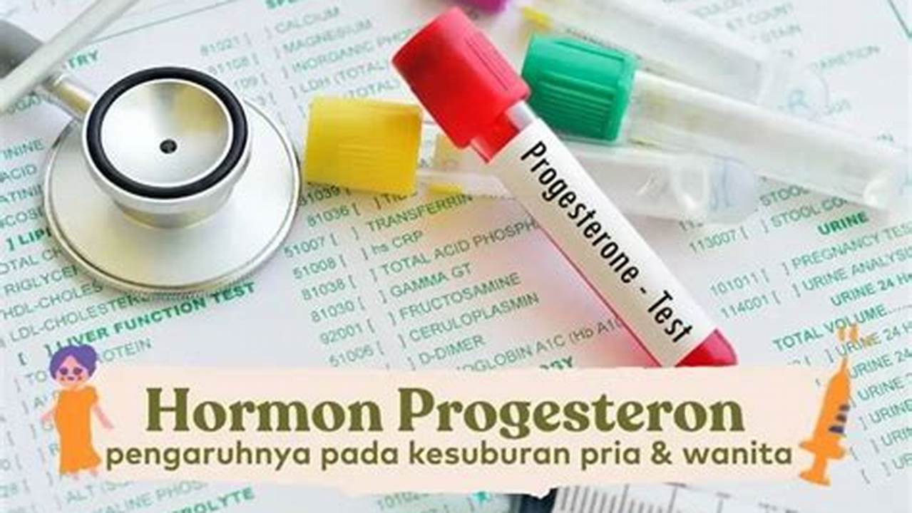 Meningkatkan Produksi Hormon Progesteron, Manfaat