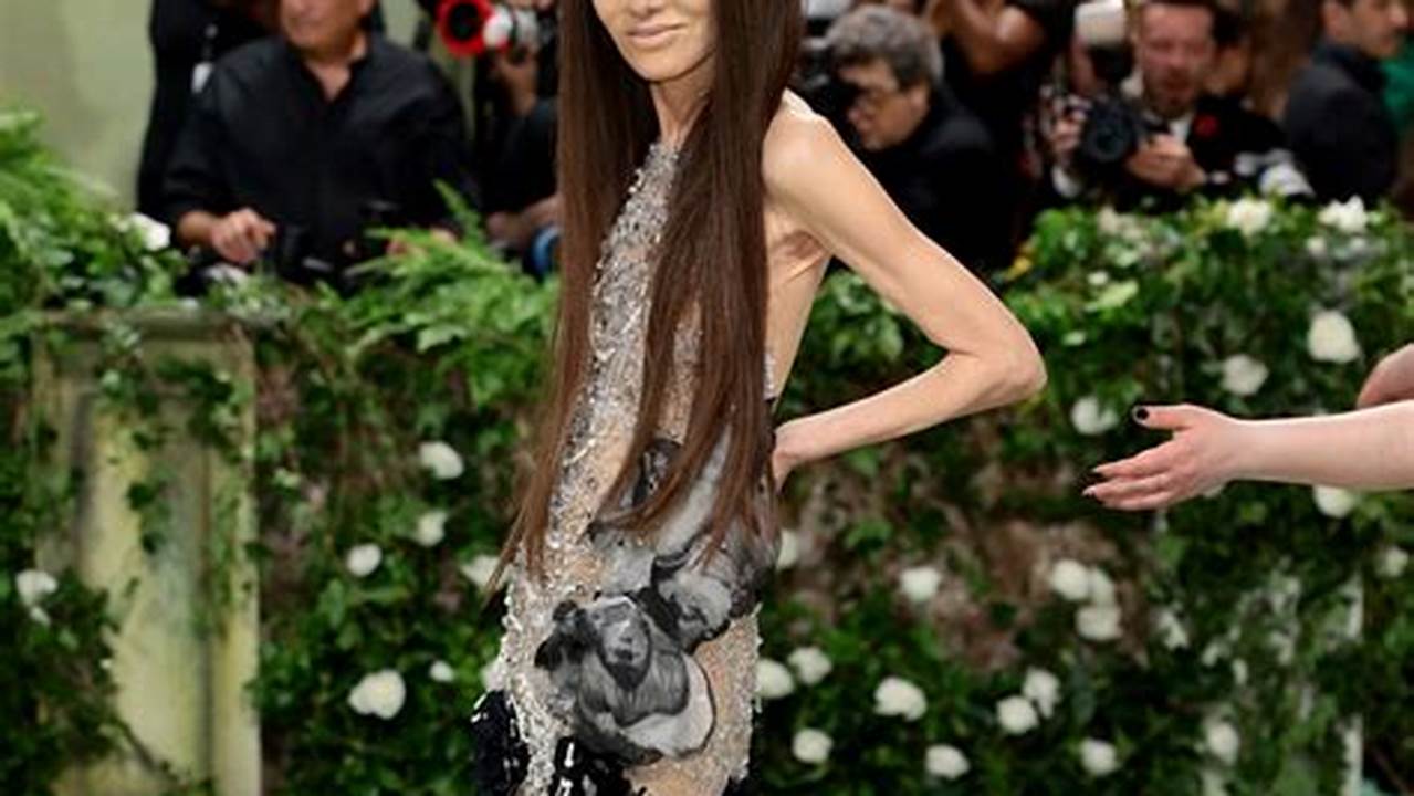 Met Gala 2024 Vera Wang