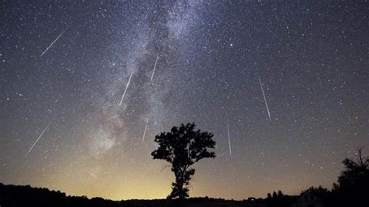 Meteor Shower Nov 2024