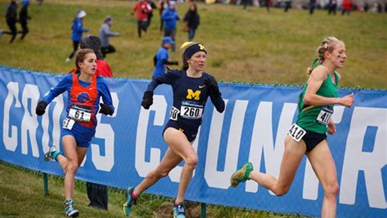 Michigan Cross Country State Meet 2024 Results