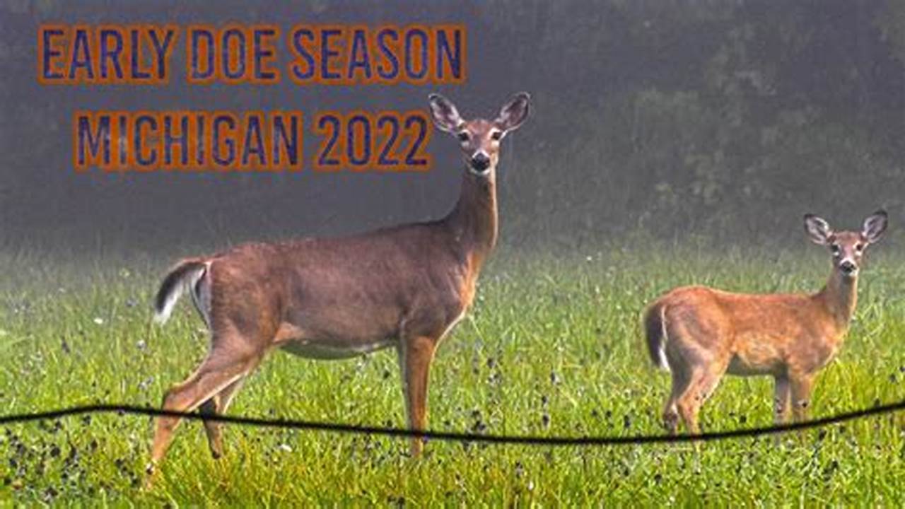 Michigan Early Doe Season 2024