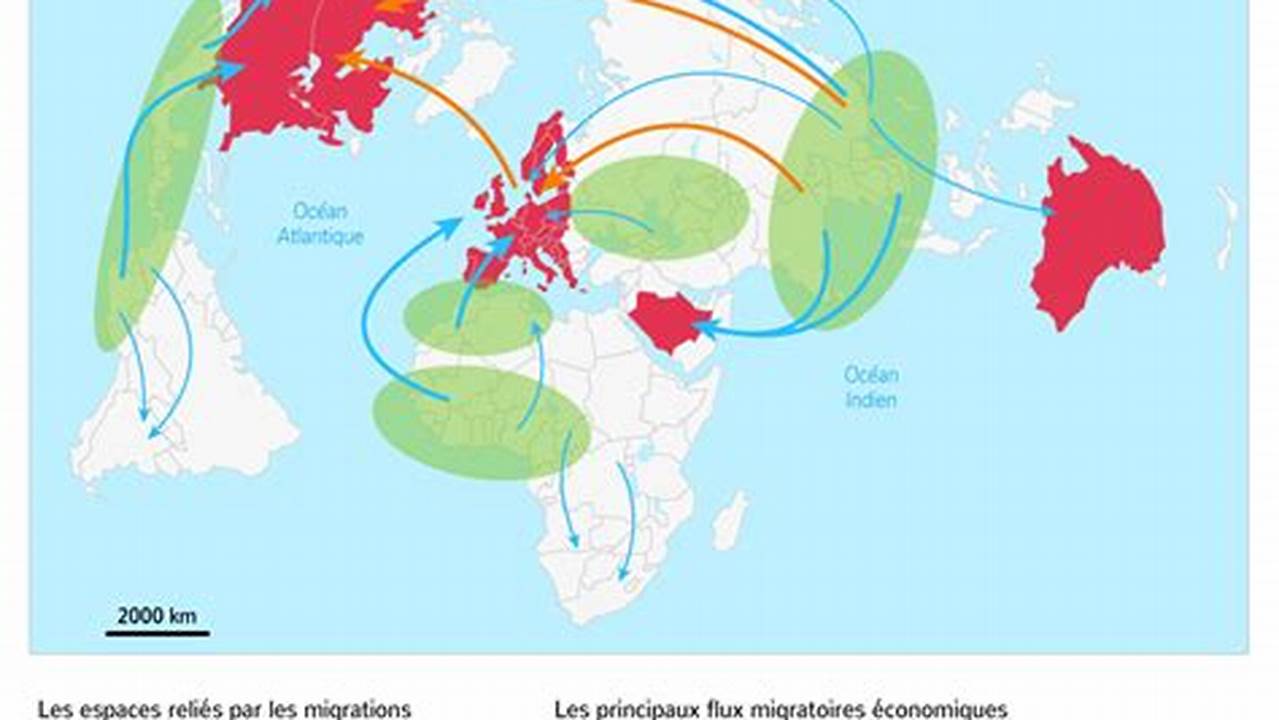 Migration Internationale, FR Type