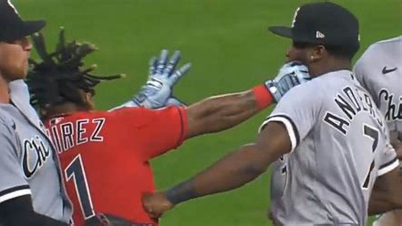 Mlb Fight 2024