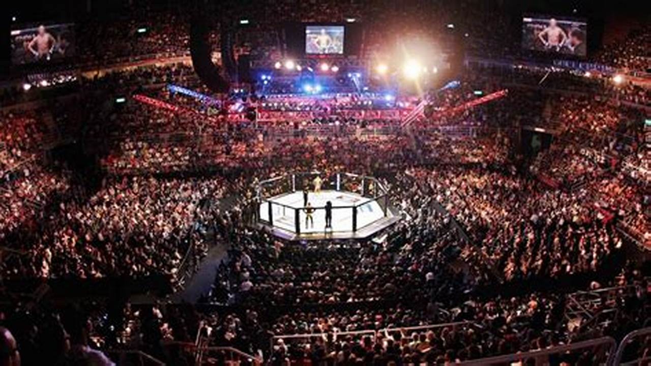 Mma Fights Las Vegas 2024