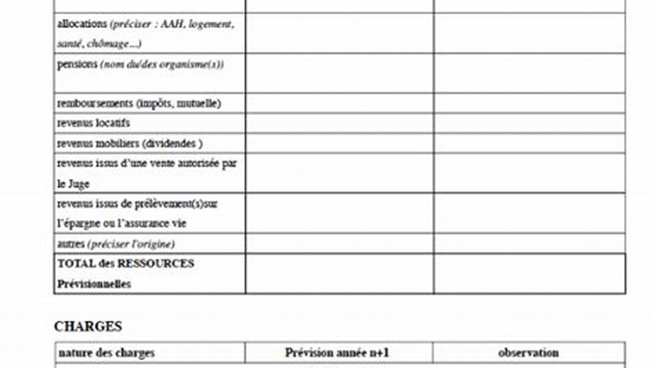 Modele Compte Rendu Annuel De Gestion Tutelle