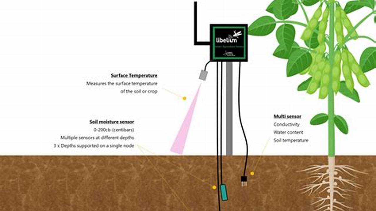 Moisture Level, DIY Farm