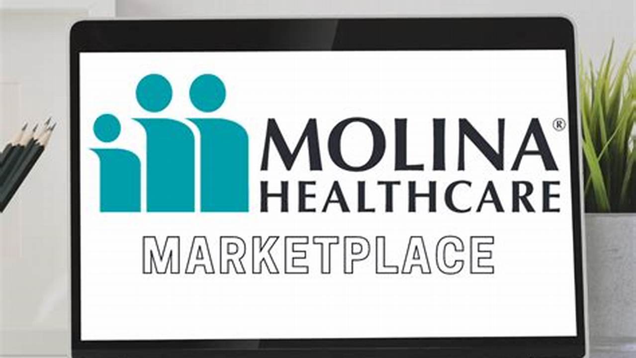 Molina Healthcare Plans 2024