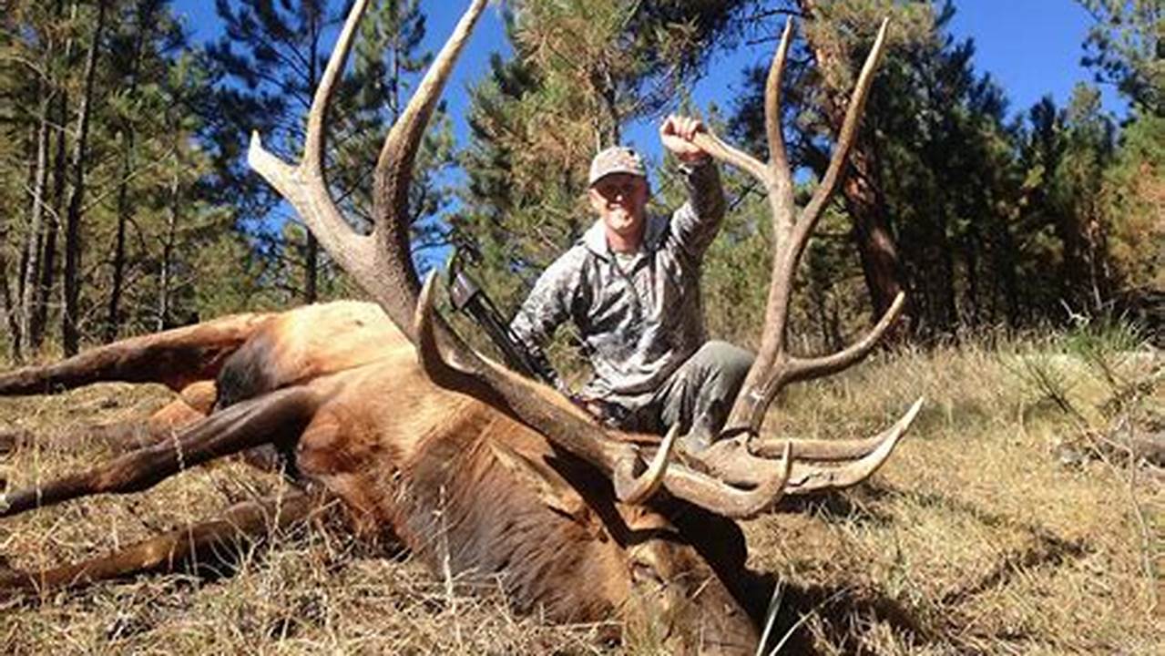 Montana 2024 Elk Season