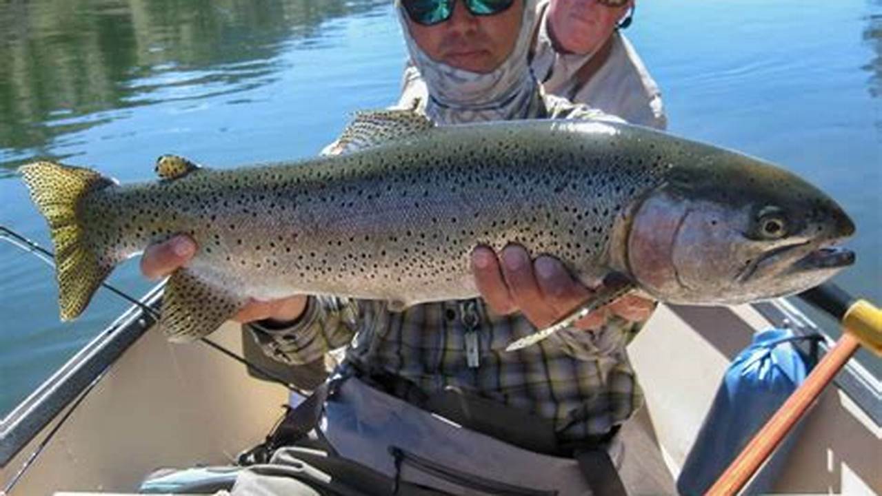 Montana Free Fishing 2024