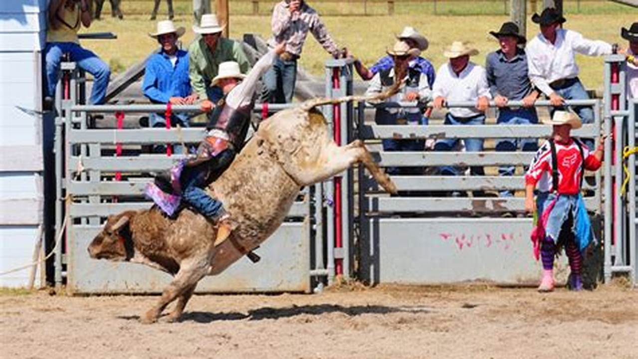Montana Rodeo August 2024