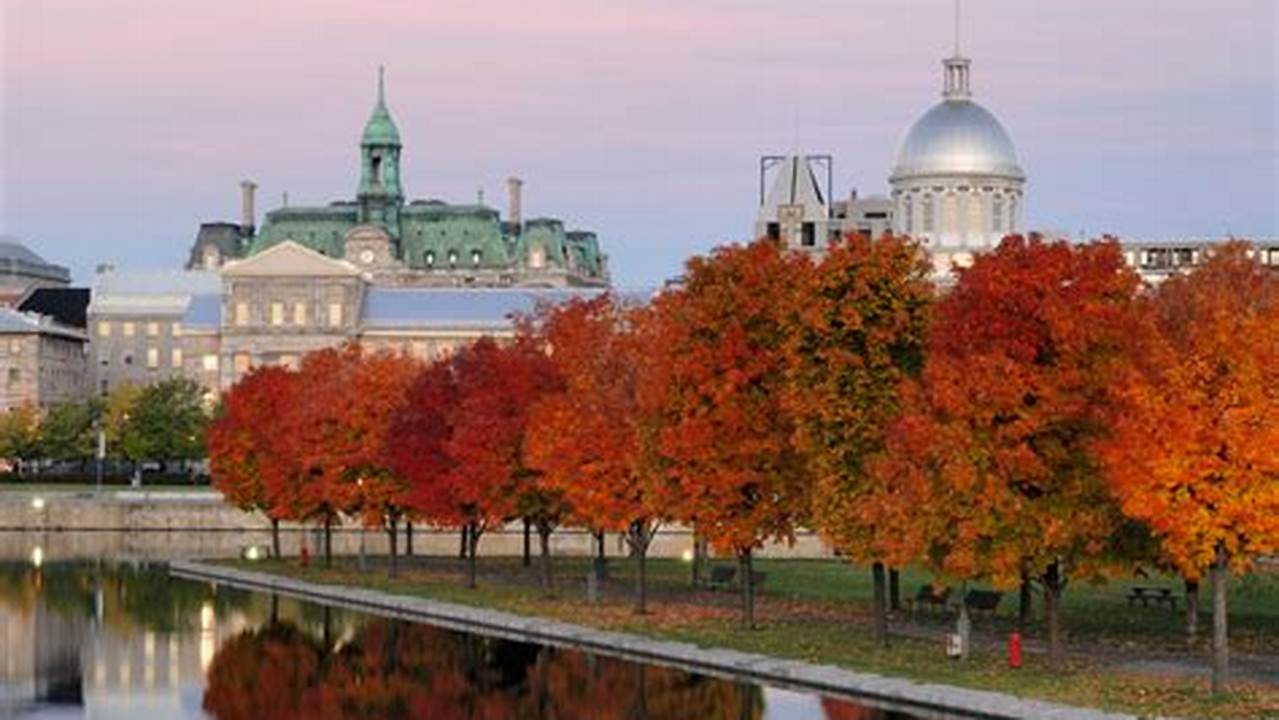 Montreal Things To Do October 2024