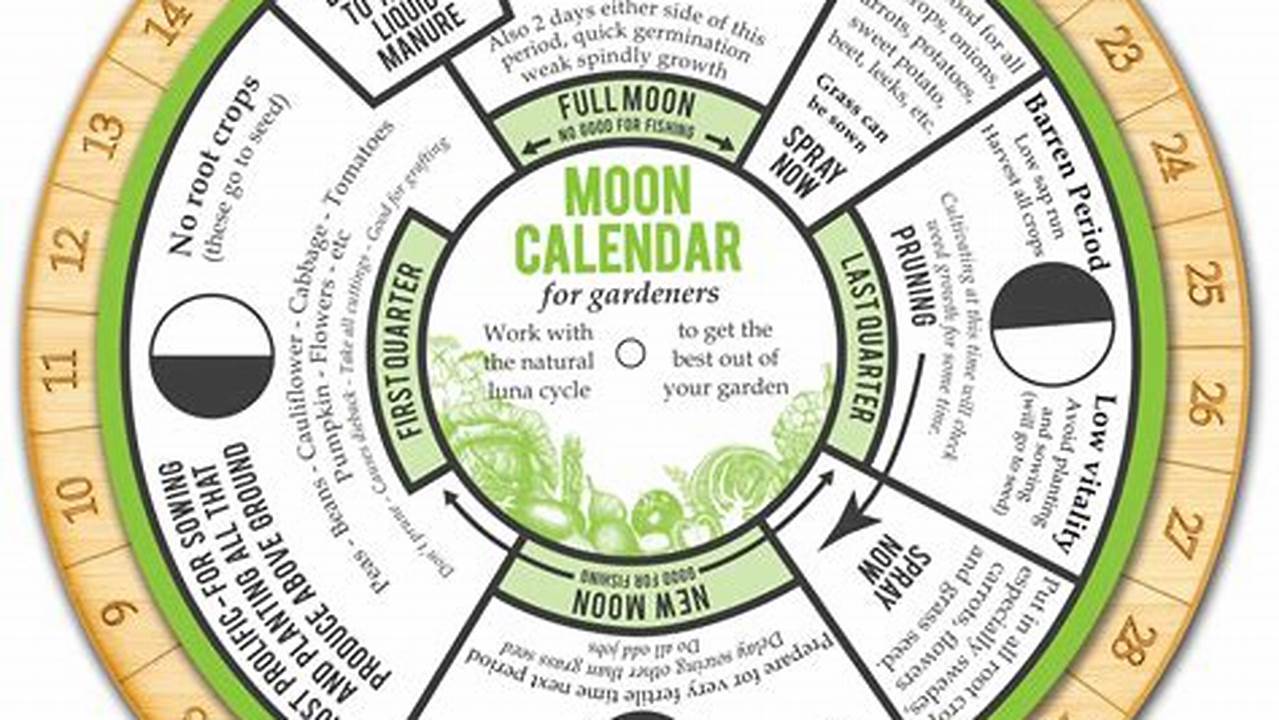 Moon Gardening Calendar 2024