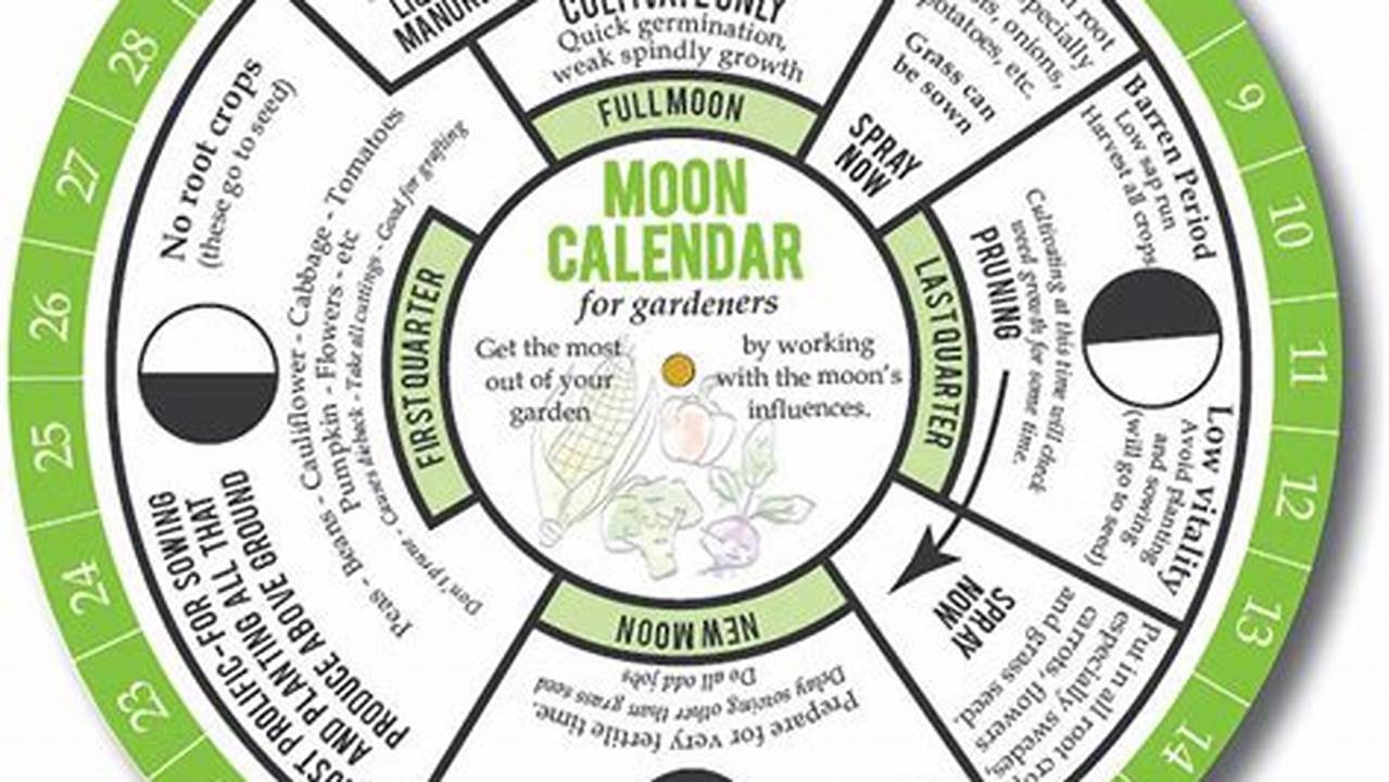 Moon Planting Calendar 2024