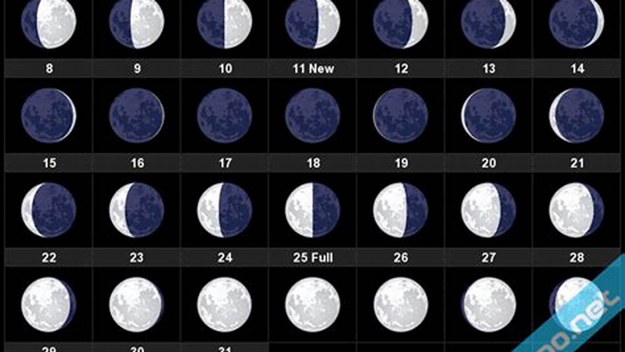 Moon Tonight August 4 2024