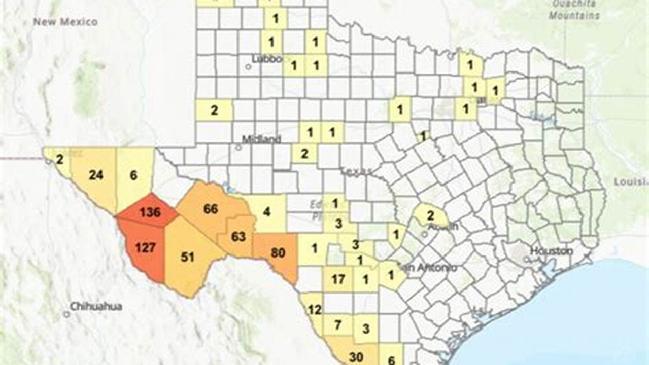Mountain Lion Sightings In Texas 2024 Map
