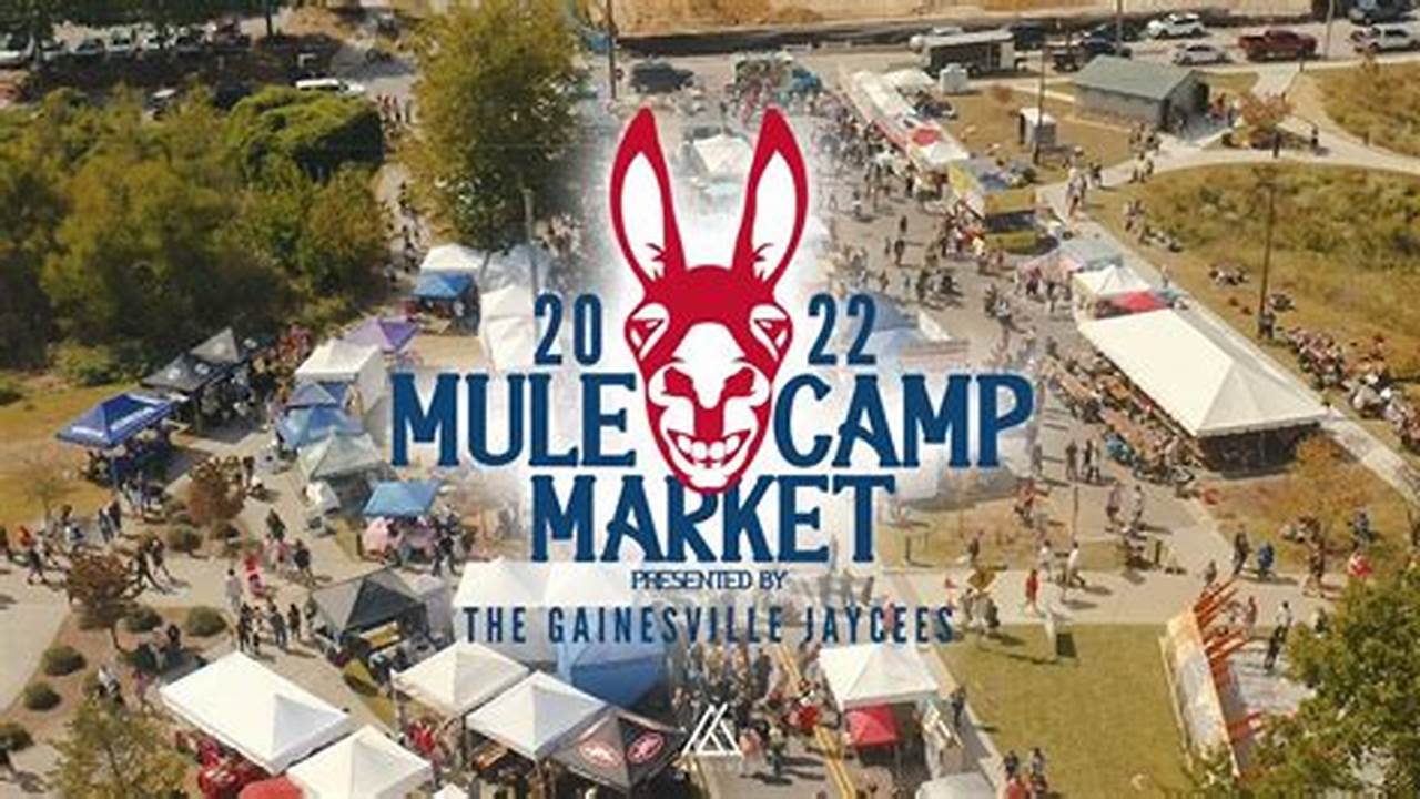 Mule Camp Festival Gainesville Ga 2024