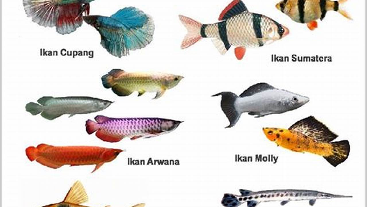 Nama Dan Klasifikasi, Ikan Hias