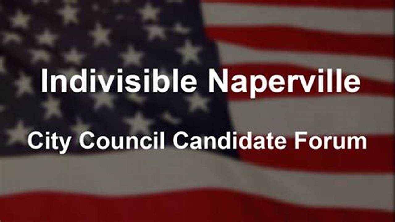 Naperville Elections 2024 Results