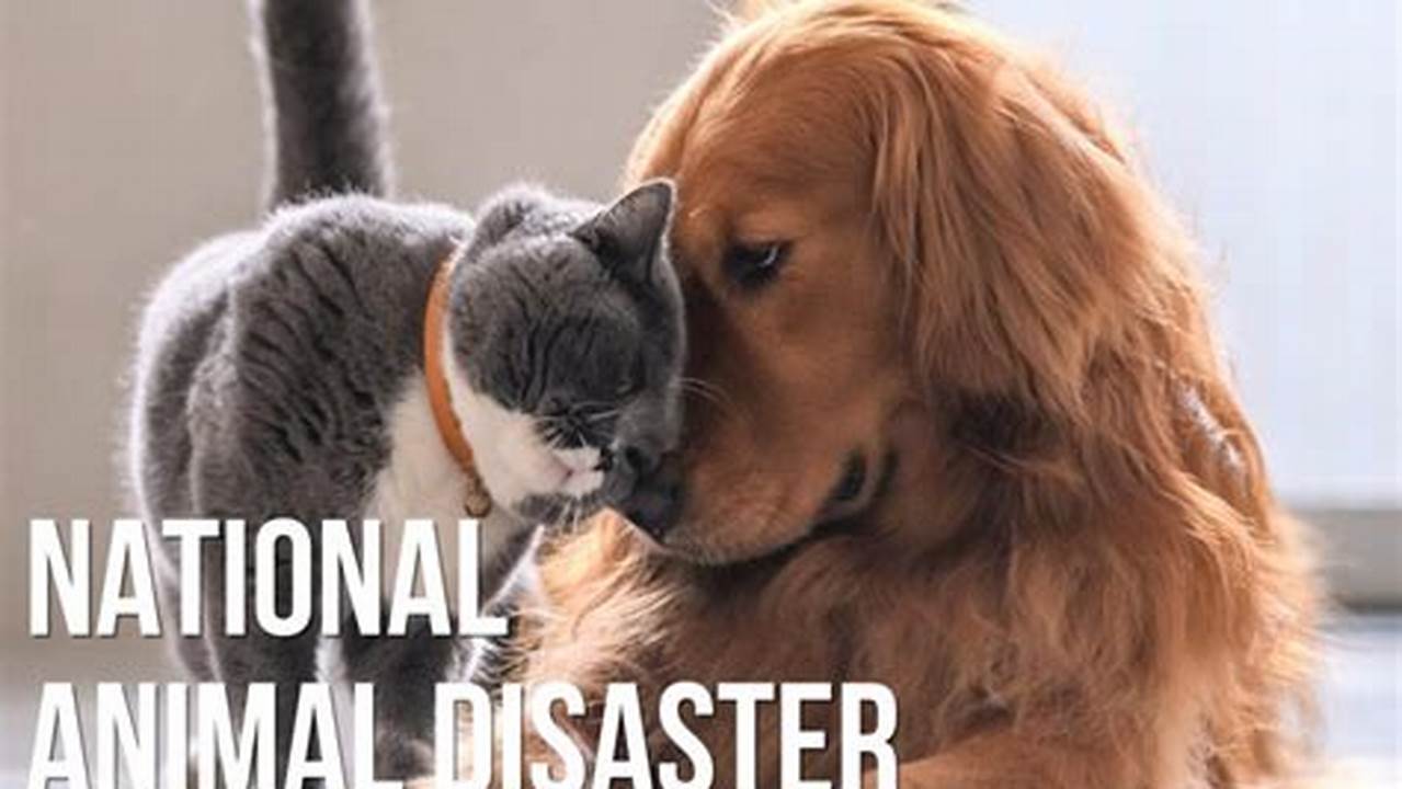 National Animal Disaster Preparedness Day 2024