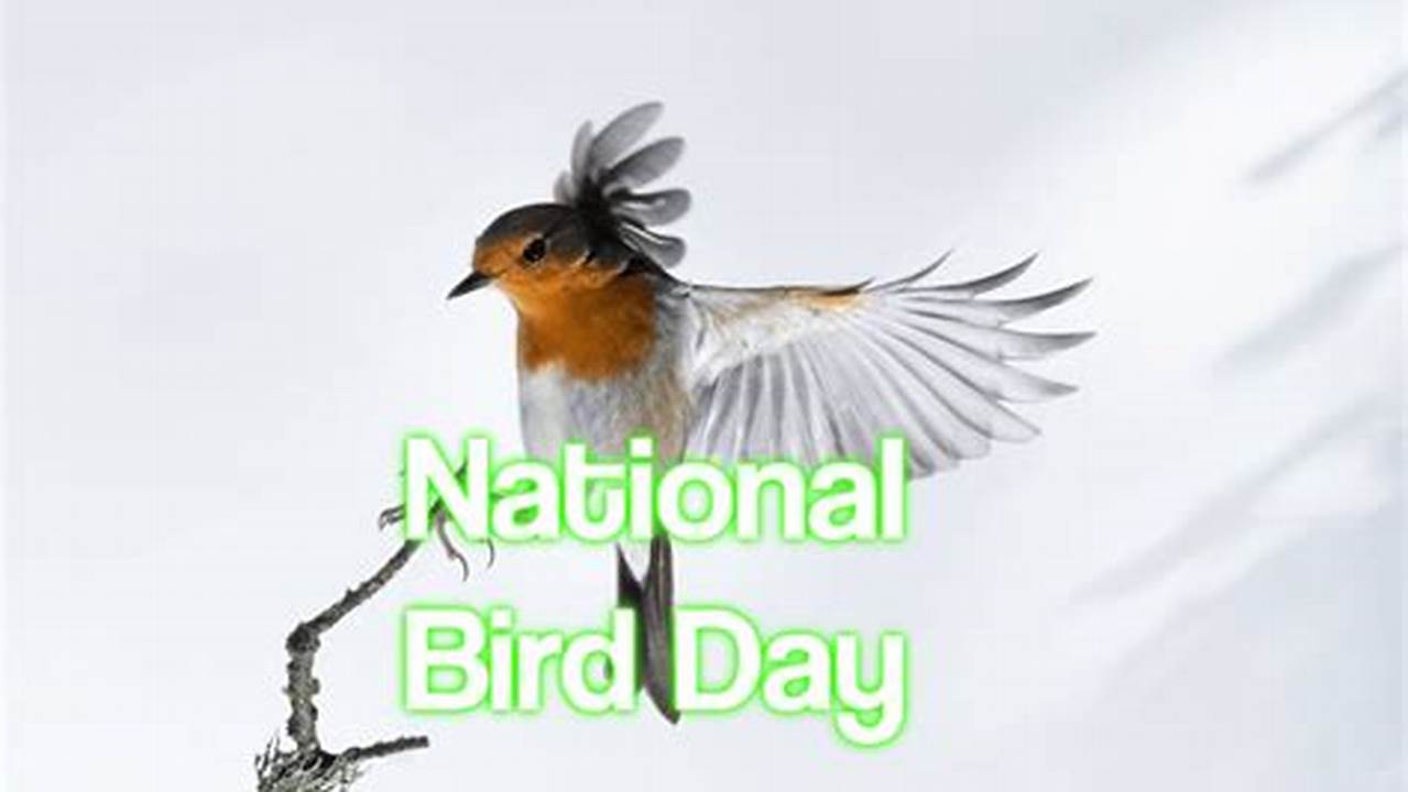 National Bird Day 2024 Uk