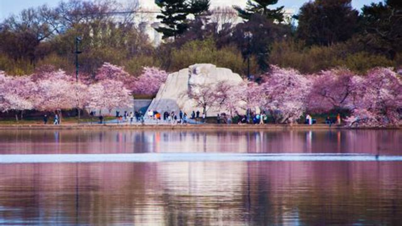 National Cherry Blossom Festival Dc
