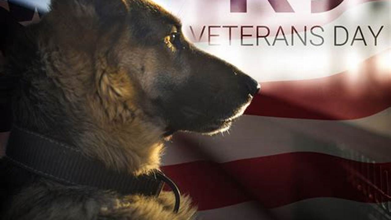 National K9 Veterans Day 2024 Events