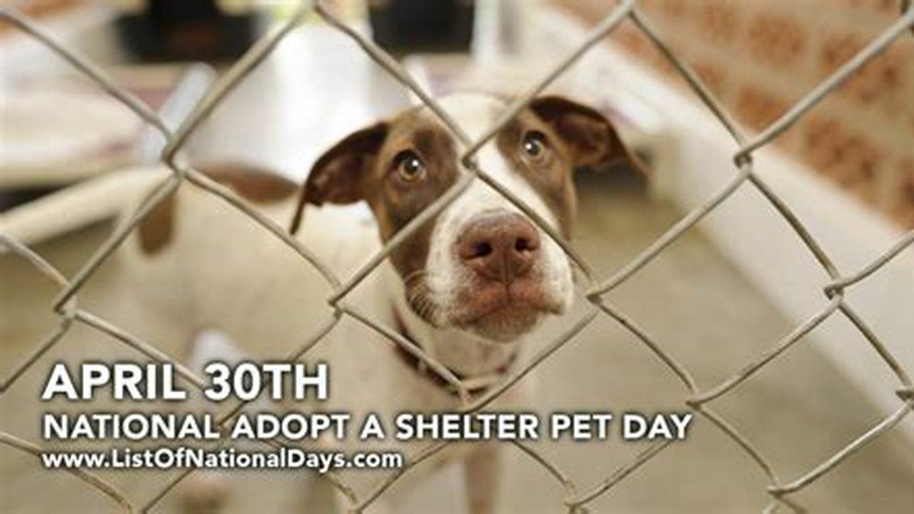 National Pet Adoption Day 2024
