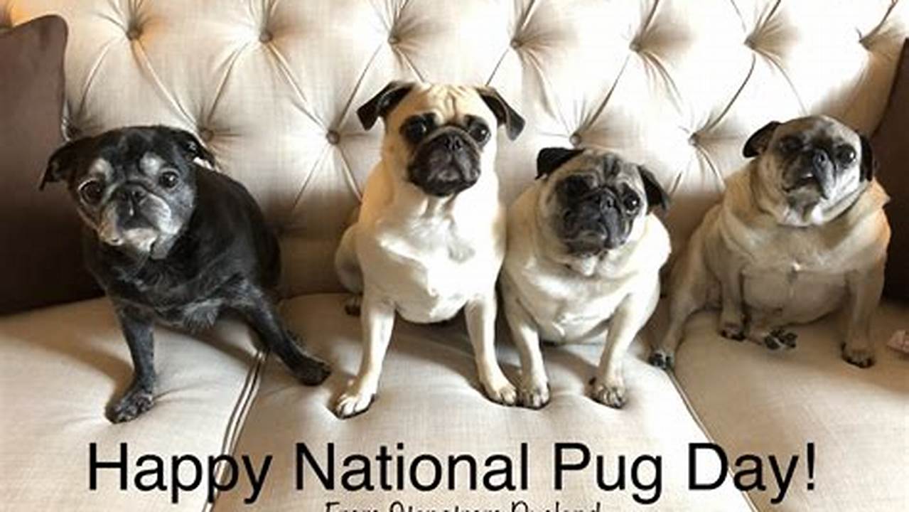 National Pug Day 2024