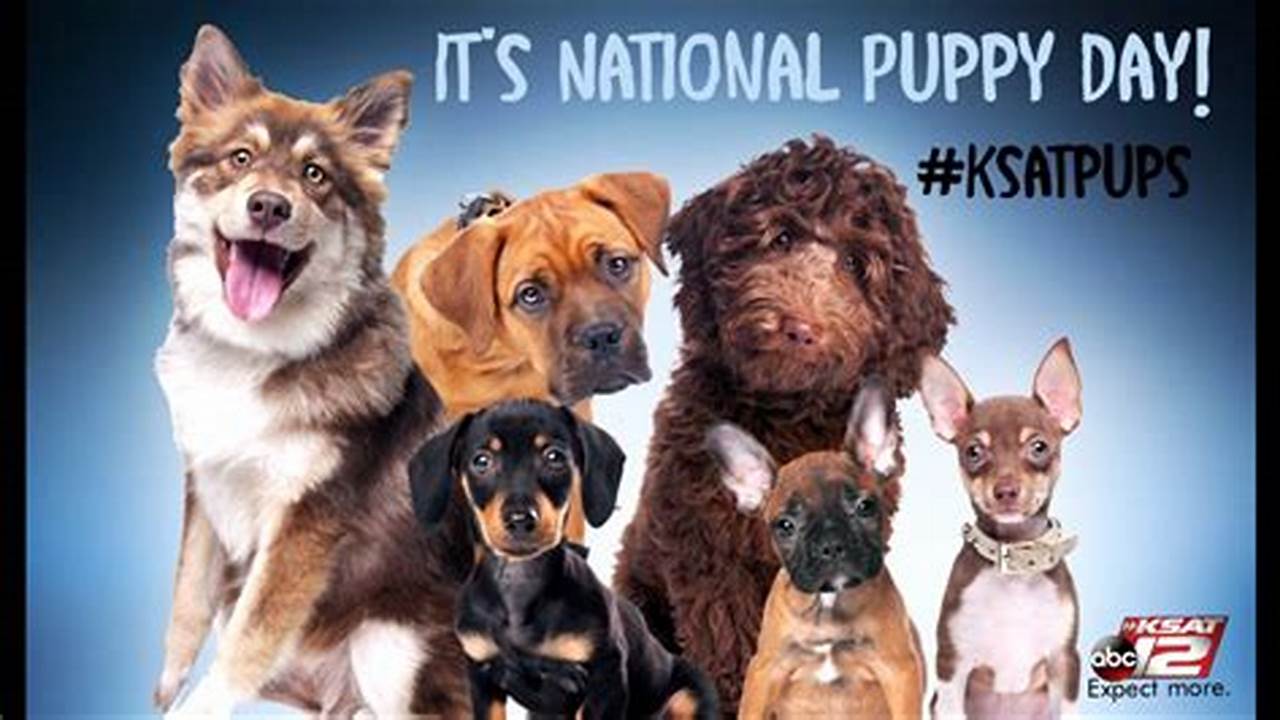 National Puppy Day 2024 Australia Uk