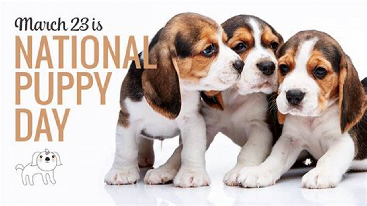 National Puppy Day 2024 March