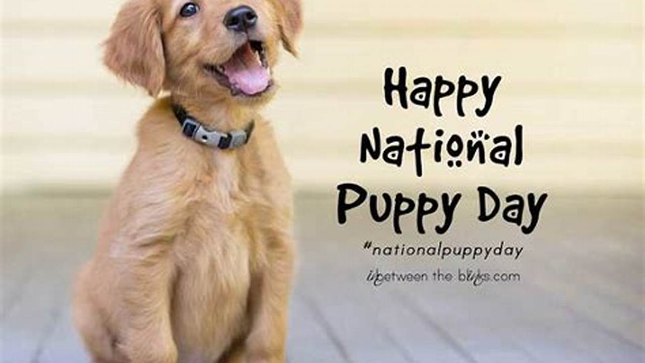 National Puppy Day 2024 Meme