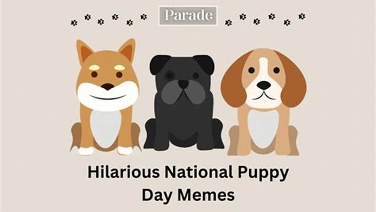 National Puppy Day 2024 Memes