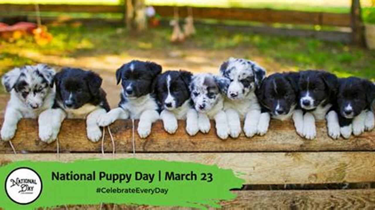 National Puppy Day Is Held On March 23 Each Year., 2024