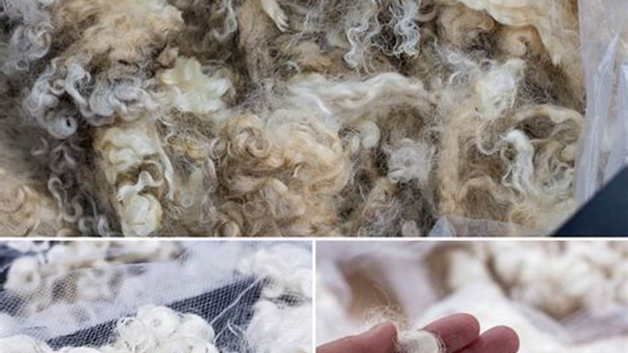 Natural Wax From Sheep&#039;s Wool, Often., 2024
