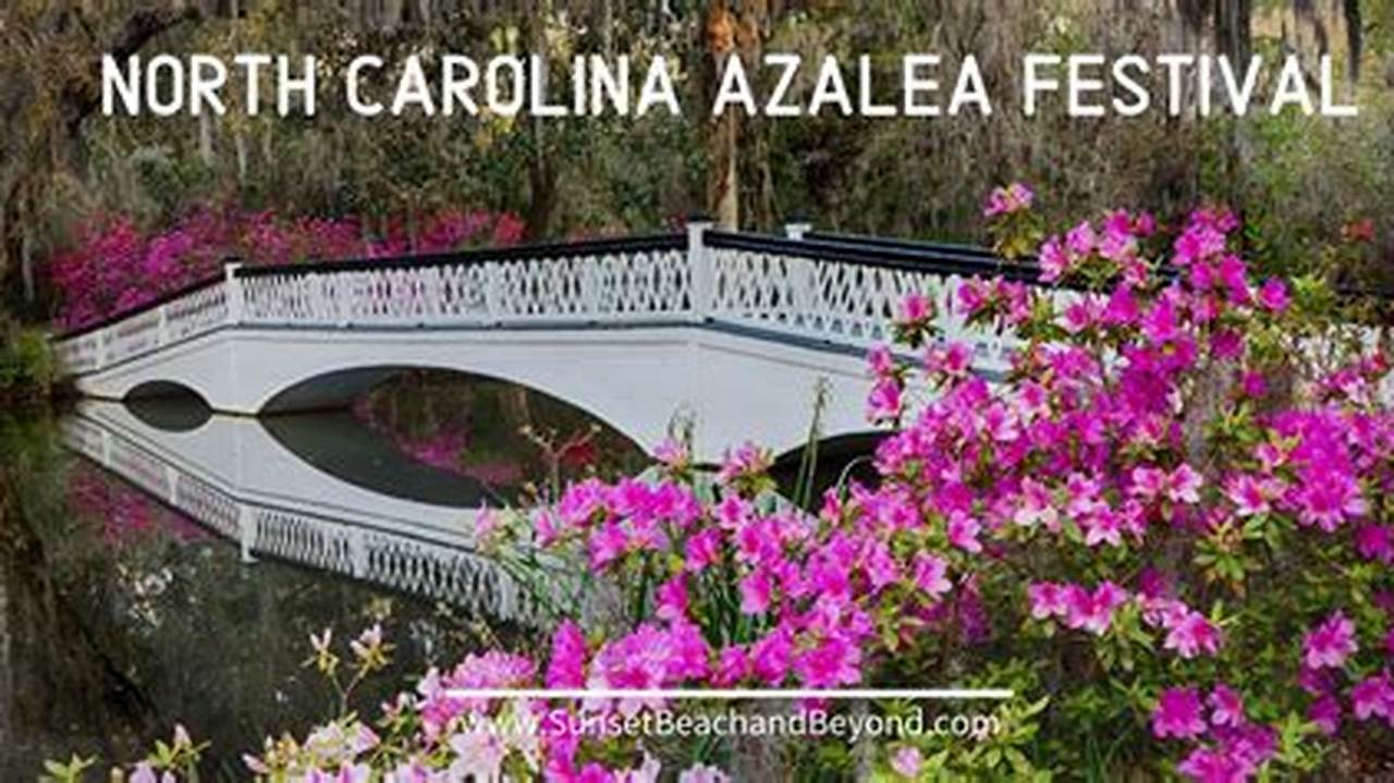 Nc Azalea Festival 2024