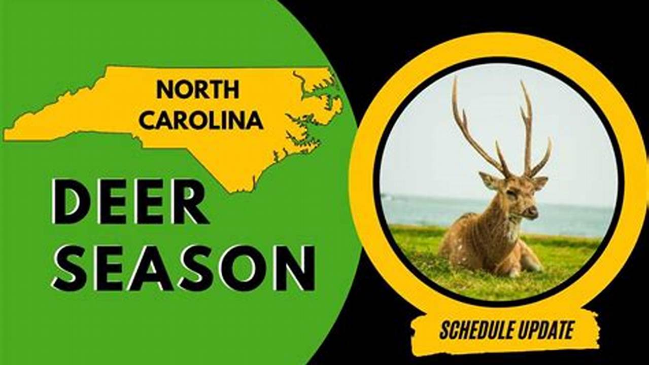 Nc Deer Season 2024-24
