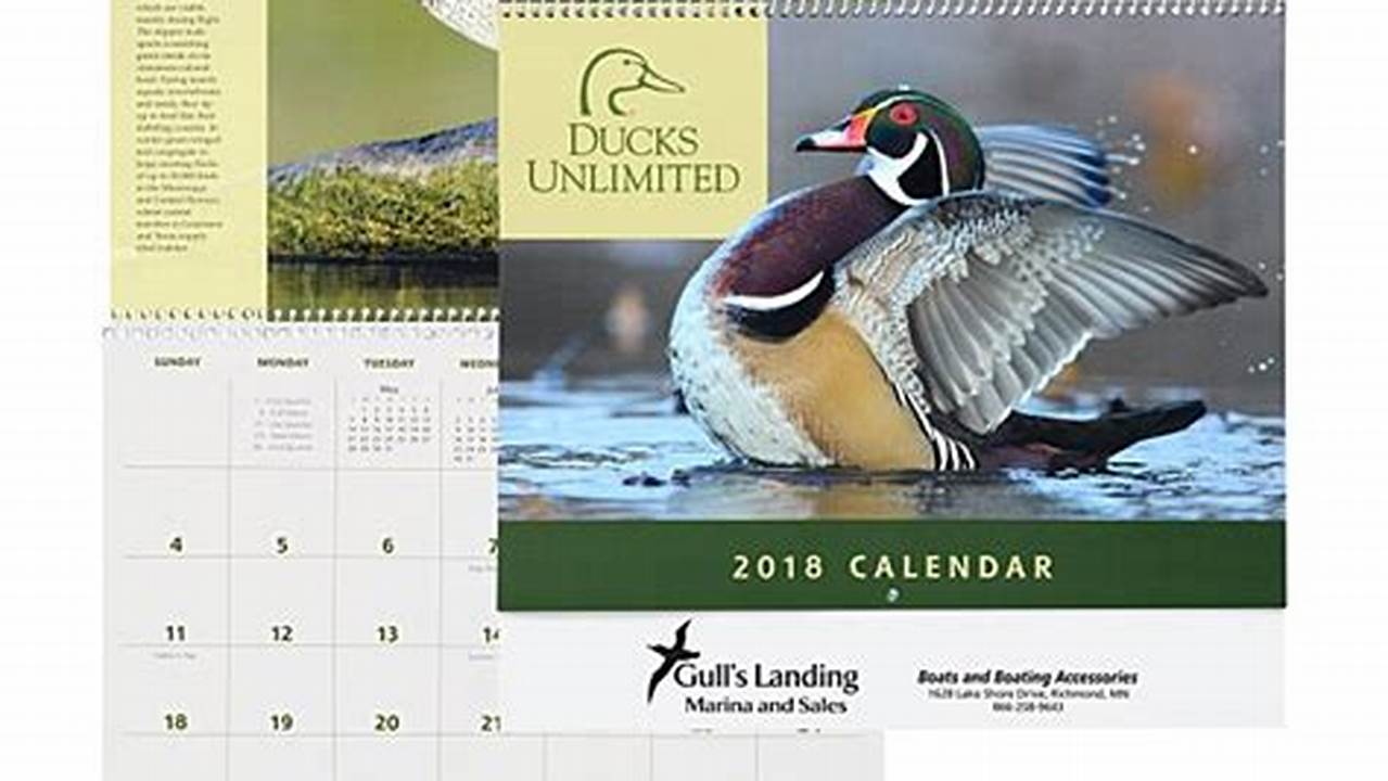 Nc Ducks Unlimited 2024 Calendar Winners Apply