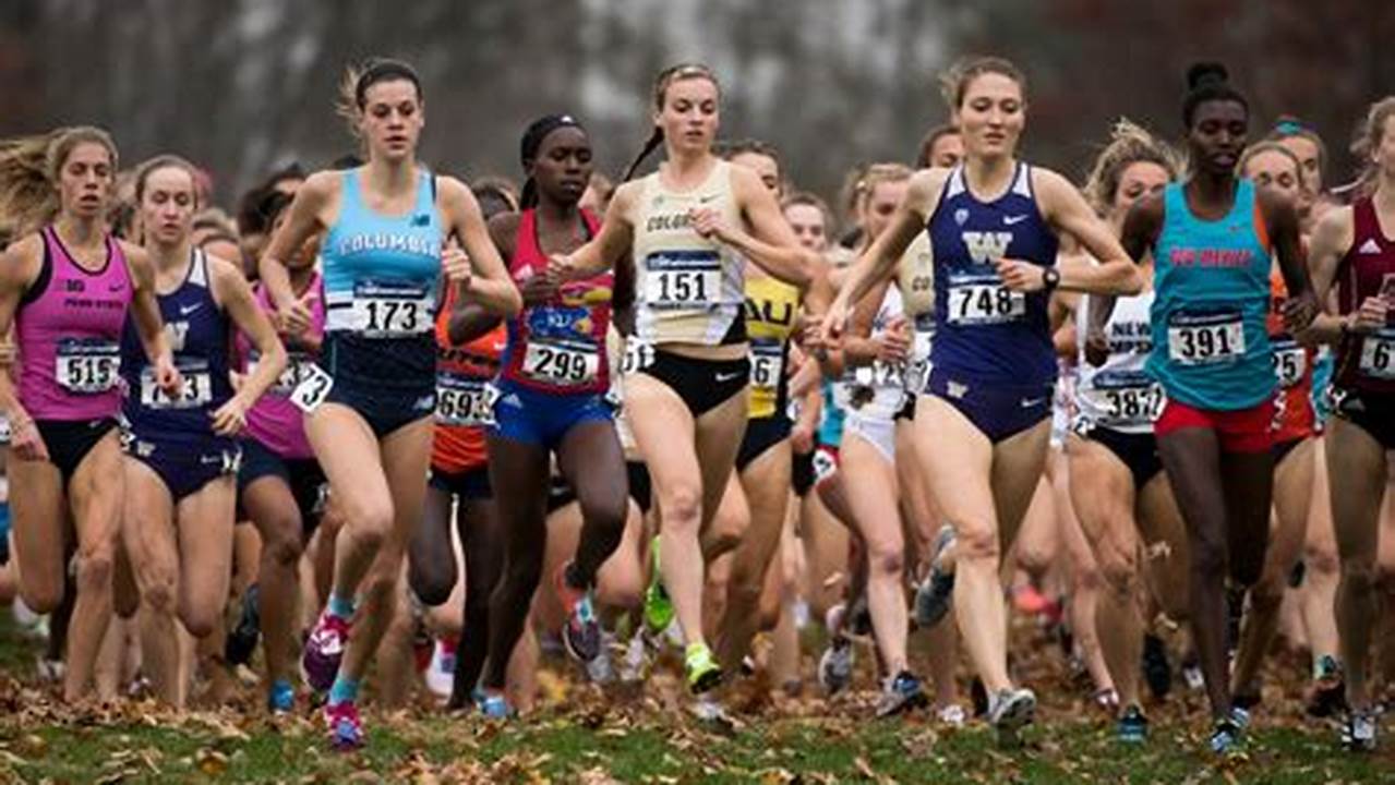 Ncaa Cross Country Championships 2024 Tickets