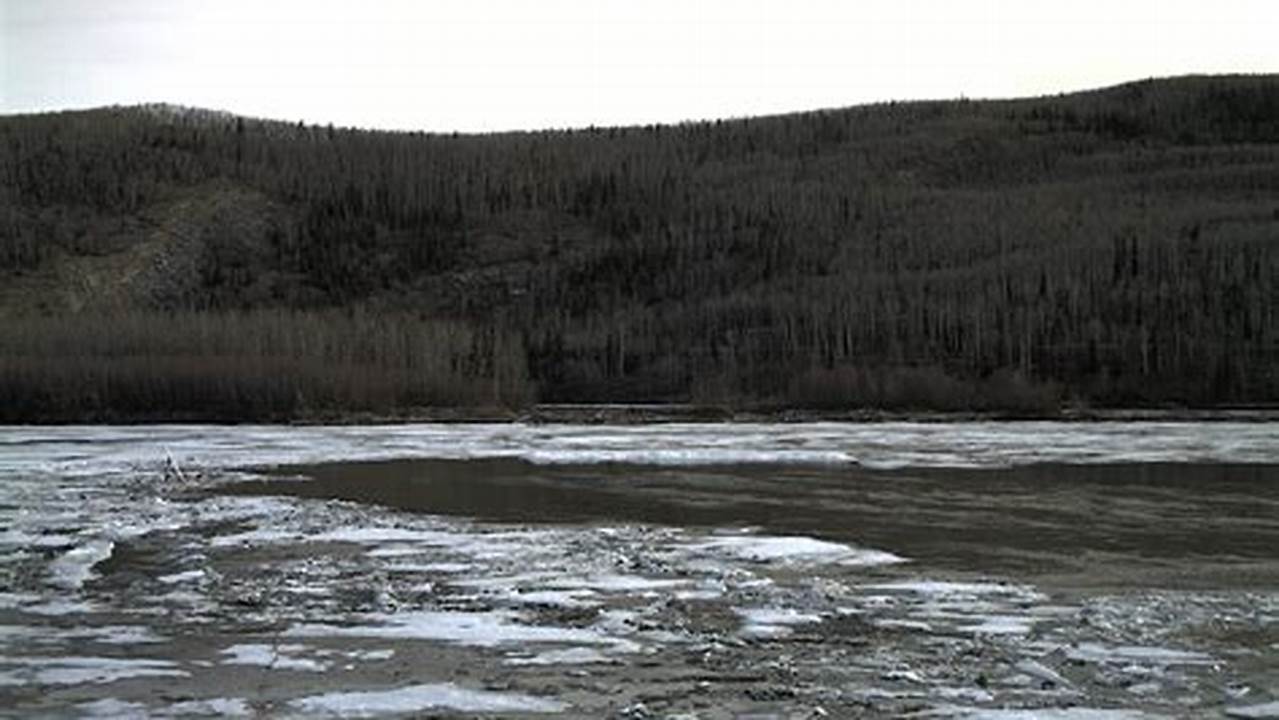 Nenana Ice Classic 2024