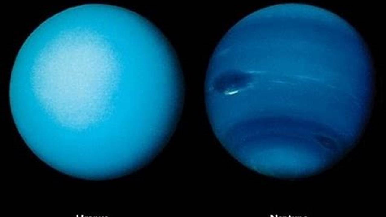 Neptune June 2024