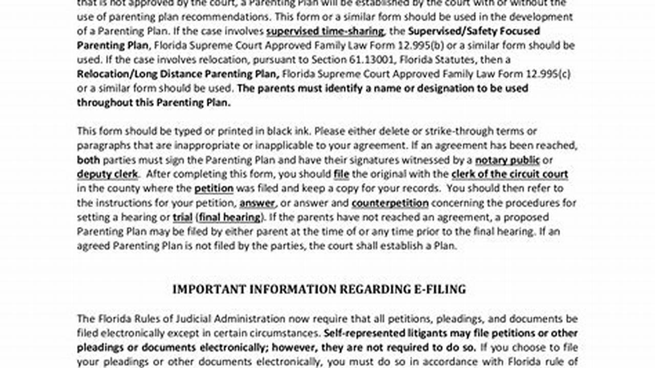 New Florida Custody Law 2024