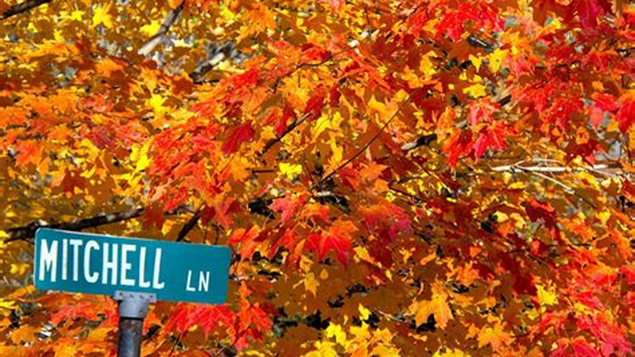 New Hampshire Fall Foliage 2024