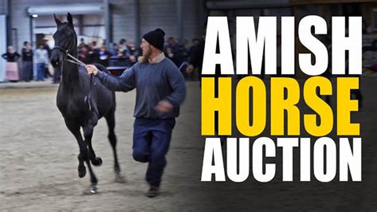 New Holland Horse Auction Schedule 2024