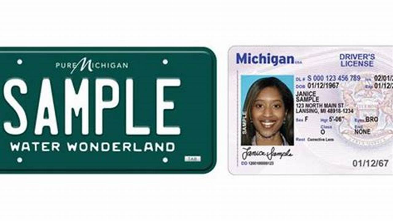 New Michigan License Plate 2024