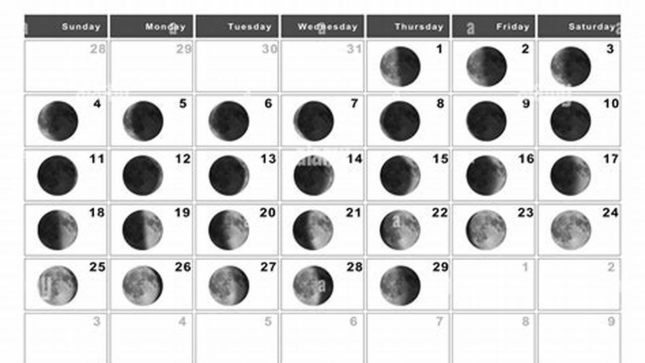 New Moon Phase February 2024