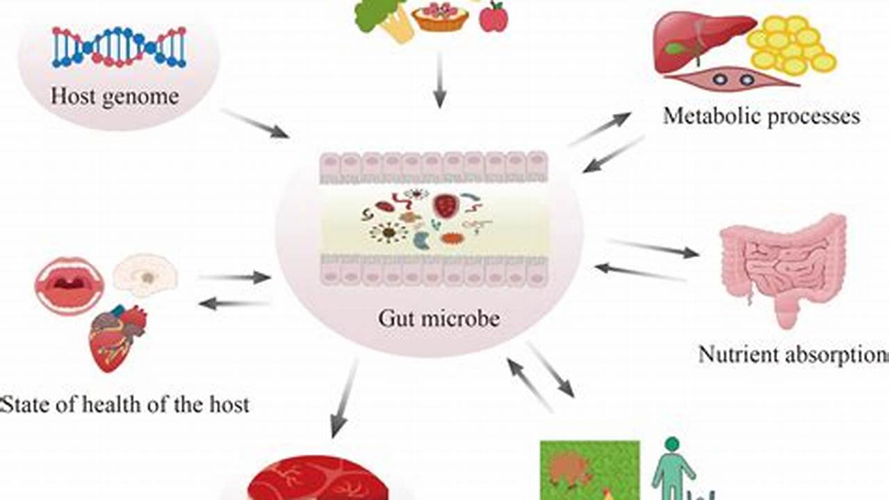 New Technology Is Enabling An Advanced Understanding Of The Gut Microbiome And Its Influence In Overall Health., 2024