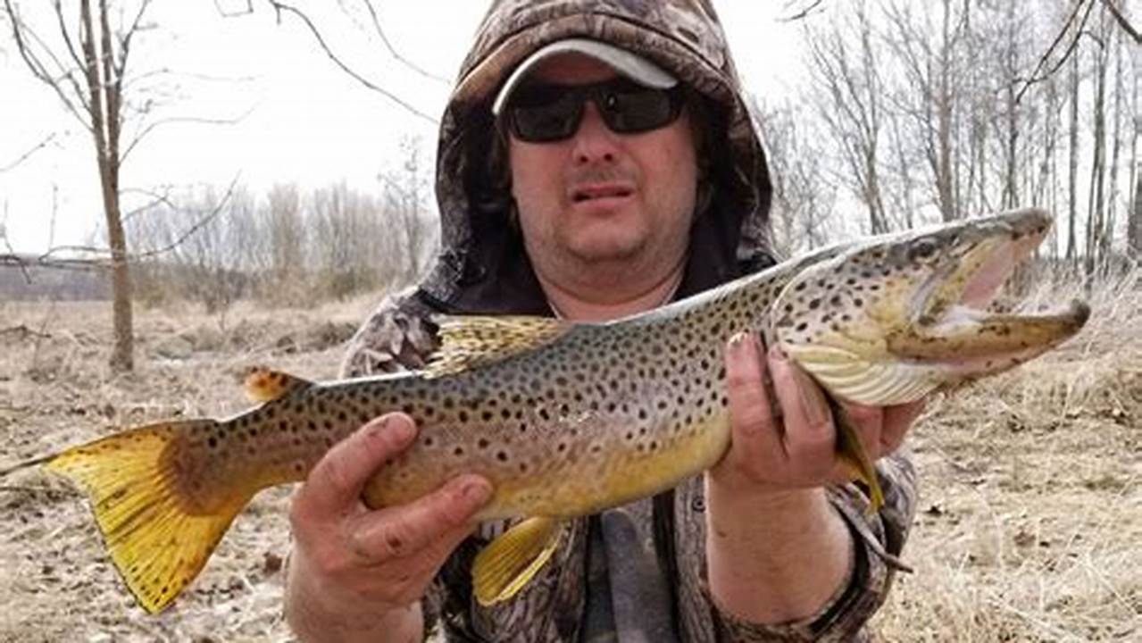 New York Trout Stocking 2024