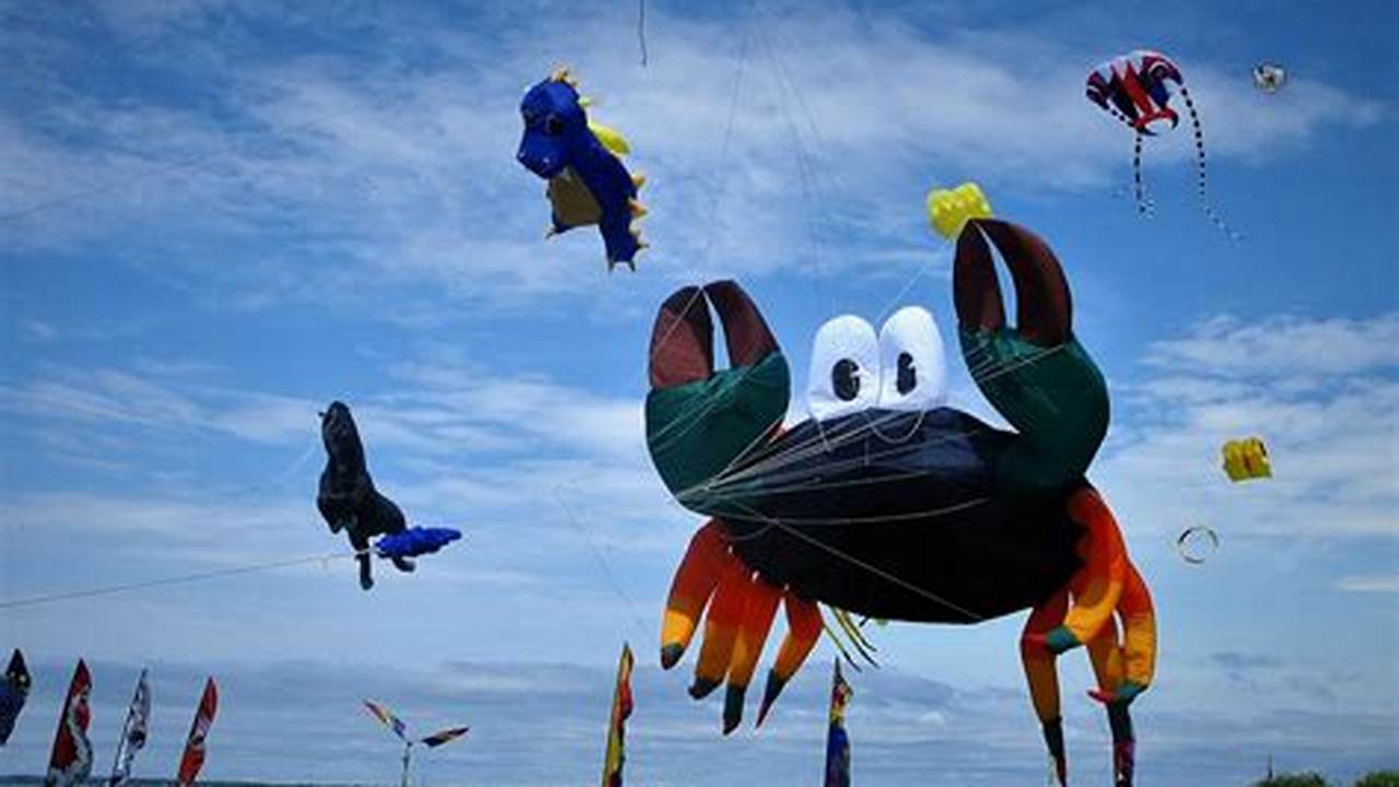 Newport Kite Festival 2024