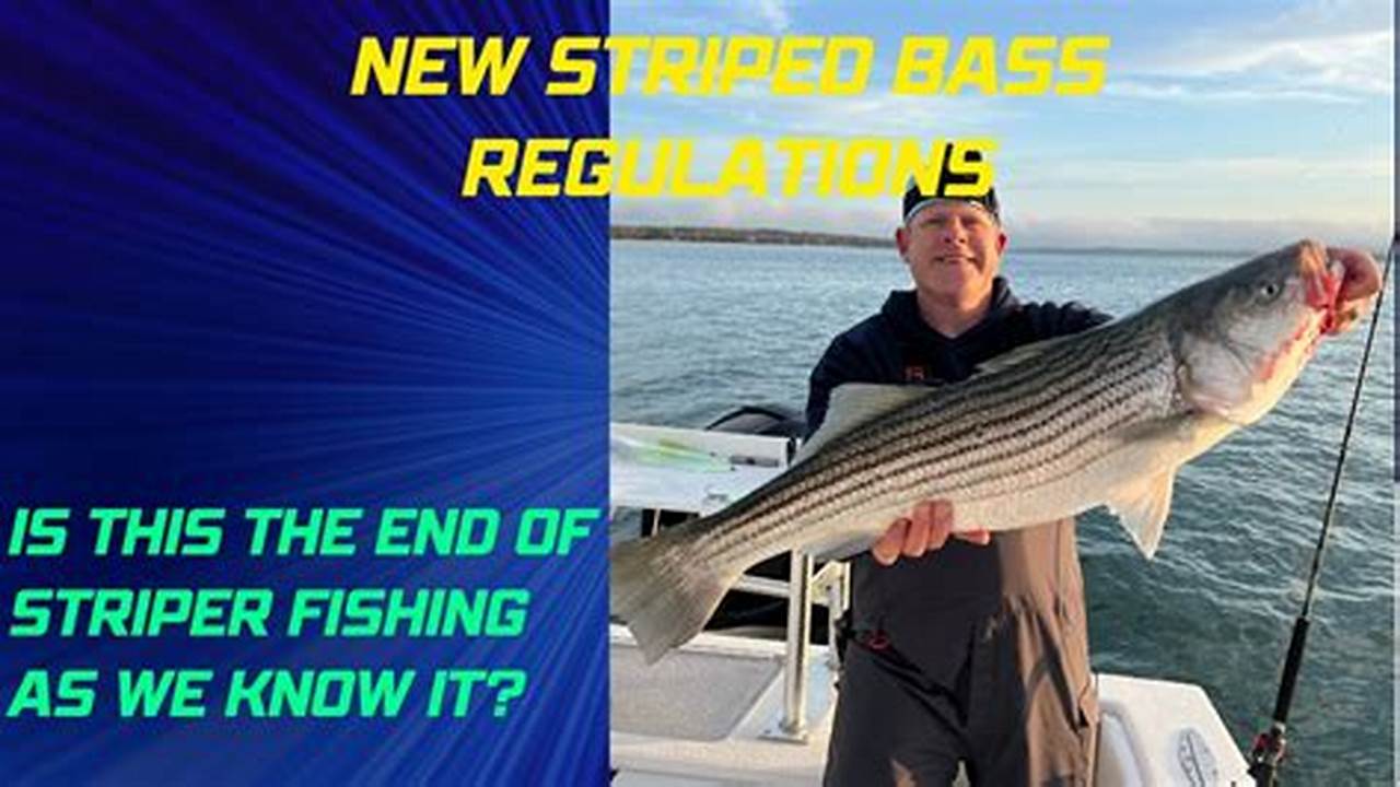 Nh Striped Bass Regulations 2024